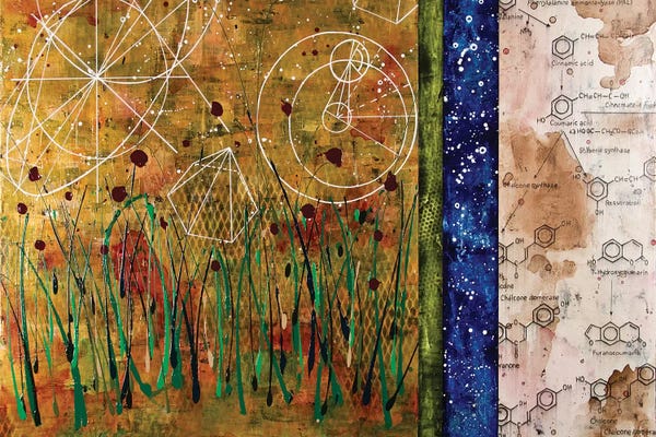 Grasses: Abstract Landscape II by Taylor Smith