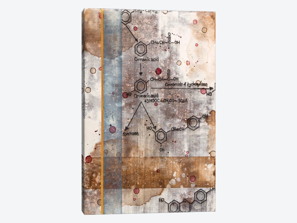 Unexpected Chemical Reaction II by Taylor Smith 1-piece Canvas Wall Art