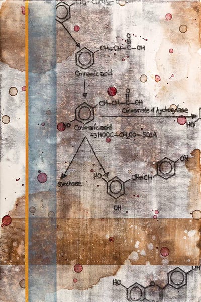 Taylor Smith: Unexpected Chemical Reaction II by Taylor Smith