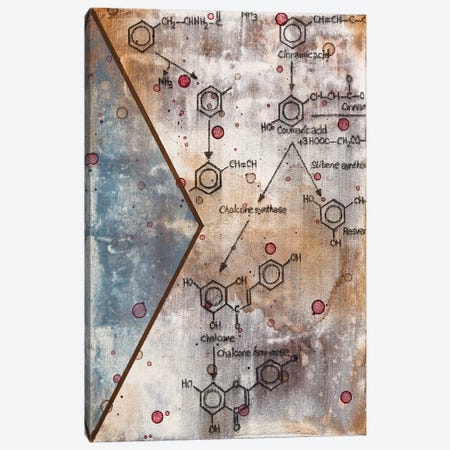 Unexpected Chemical Reaction III Canvas Print #TSM51} by Taylor Smith Canvas Art
