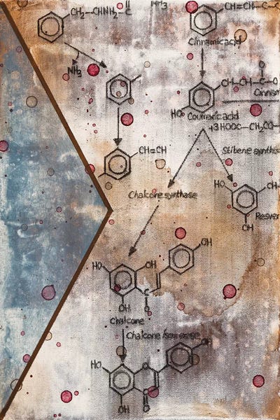 Taylor Smith: Unexpected Chemical Reaction III by Taylor Smith