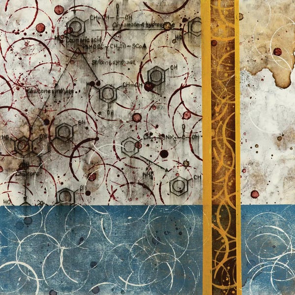 Chemistry: Chemical Abstract Miracle IV by Taylor Smith