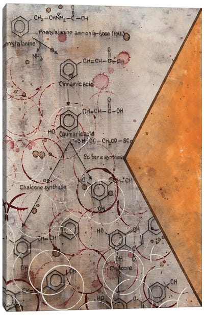 Chemical Abstract Miracle VIII Canvas Art Print - Chemistry Art