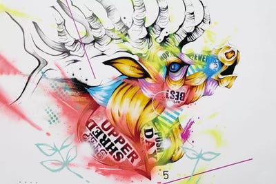 Bush by Taka Sudo gallery poster