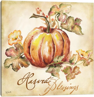 Watercolor Harvest III  Canvas Art Print - Pumpkins