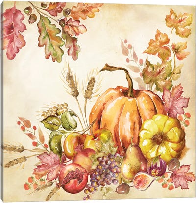 Watercolor Harvest Pumpkins II Canvas Art Print - Thanksgiving Art