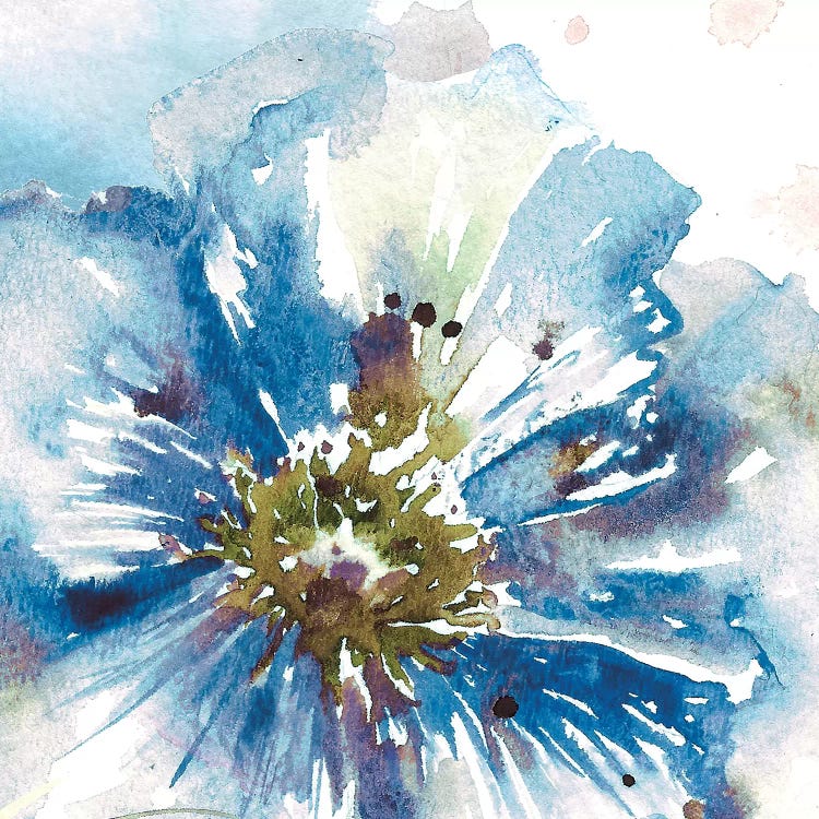 Blue Watercolor Poppy Close Up I