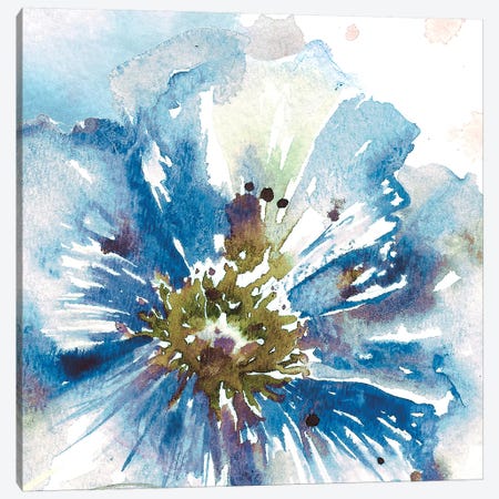 Blue Watercolor Poppy Close Up I Canvas Print #TSS124} by Tre Sorelle Studios Art Print