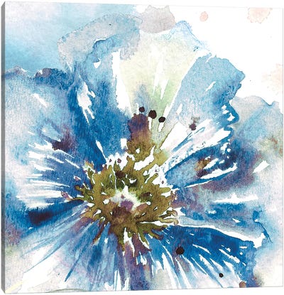 Blue Watercolor Poppy Close Up I Canvas Art Print - Tre Sorelle Studios