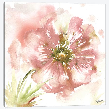Blush Watercolor Poppy I Canvas Print #TSS126} by Tre Sorelle Studios Canvas Print