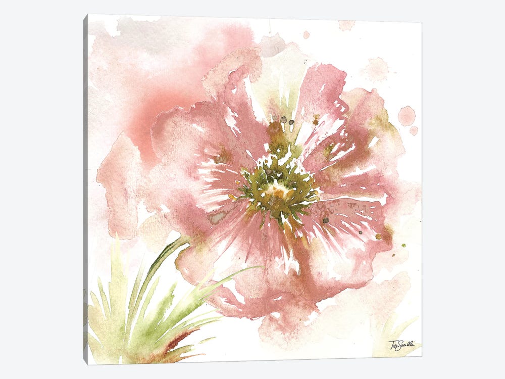 Blush Watercolor Poppy I by Tre Sorelle Studios 1-piece Canvas Artwork