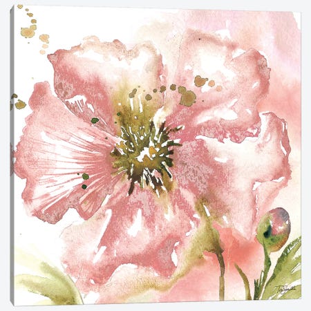 Blush Watercolor Poppy II Canvas Print #TSS127} by Tre Sorelle Studios Canvas Print