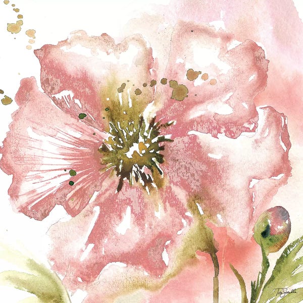 Roaring Brook Art: Blush Watercolor Poppy II by Tre Sorelle Studios