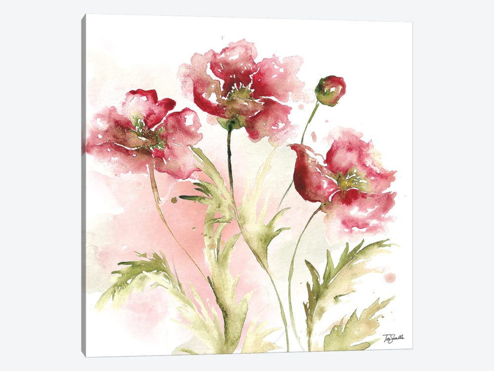 Blush Watercolor Poppy III Can - Canvas Wall Art | Tre Sorelle Studios