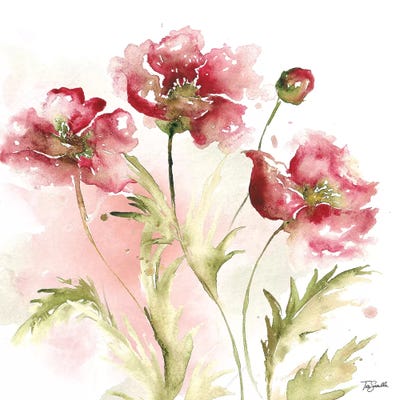 Blush Watercolor Poppy III Can - Canvas Wall Art | Tre Sorelle Studios
