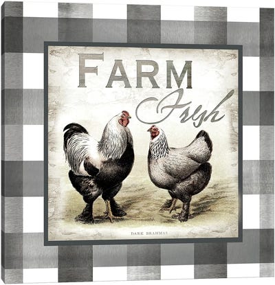 Buffalo Check Farm House Chickens Neutral II Canvas Art Print - Chicken & Rooster Art