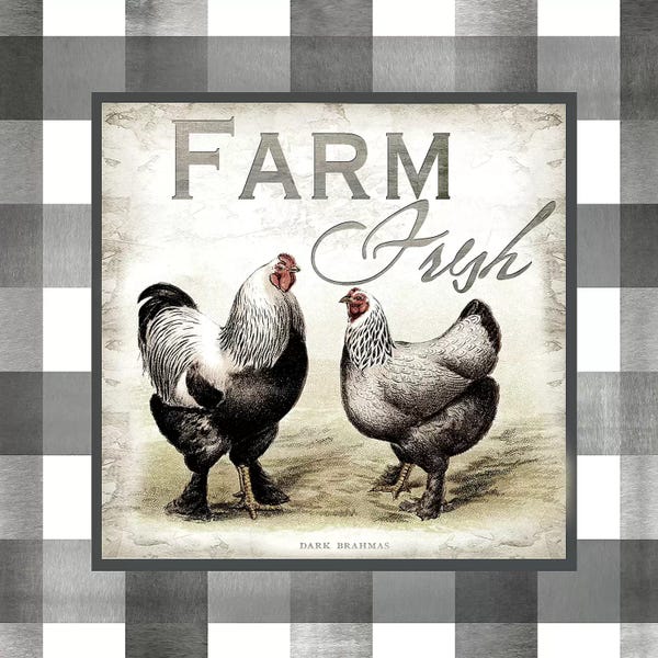Tre Sorelle Studios: Buffalo Check Farm House Chickens Neutral II by Tre Sorelle Studios
