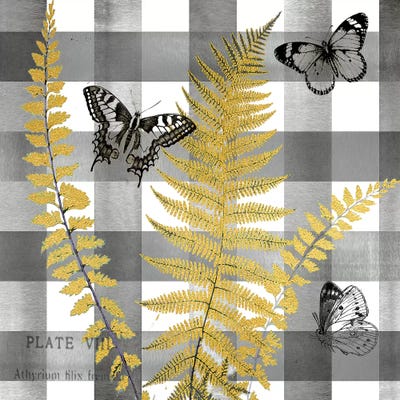 Buffalo Check I Ferns and Butterflies Neutral by Tre Sorelle Studios framed wall art
