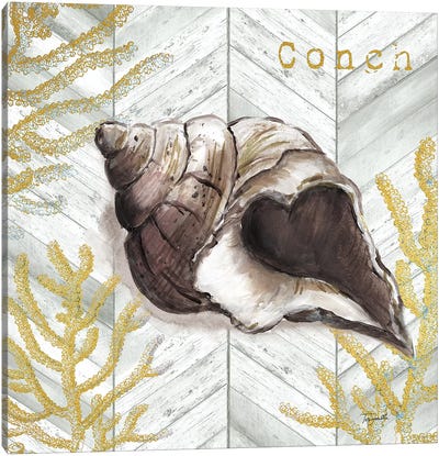 Gray Gold Chevron Conch Shell Canvas Art Print - Tre Sorelle Studios
