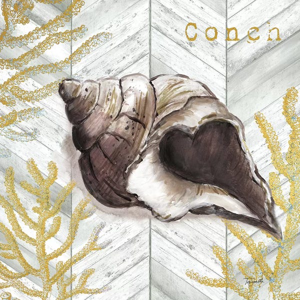 Sea Shells: Gray Gold Chevron Conch Shell by Tre Sorelle Studios