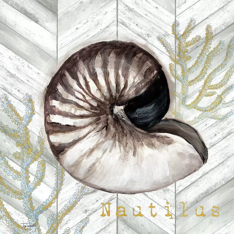 Gray Gold Chevron Nautilus Shell