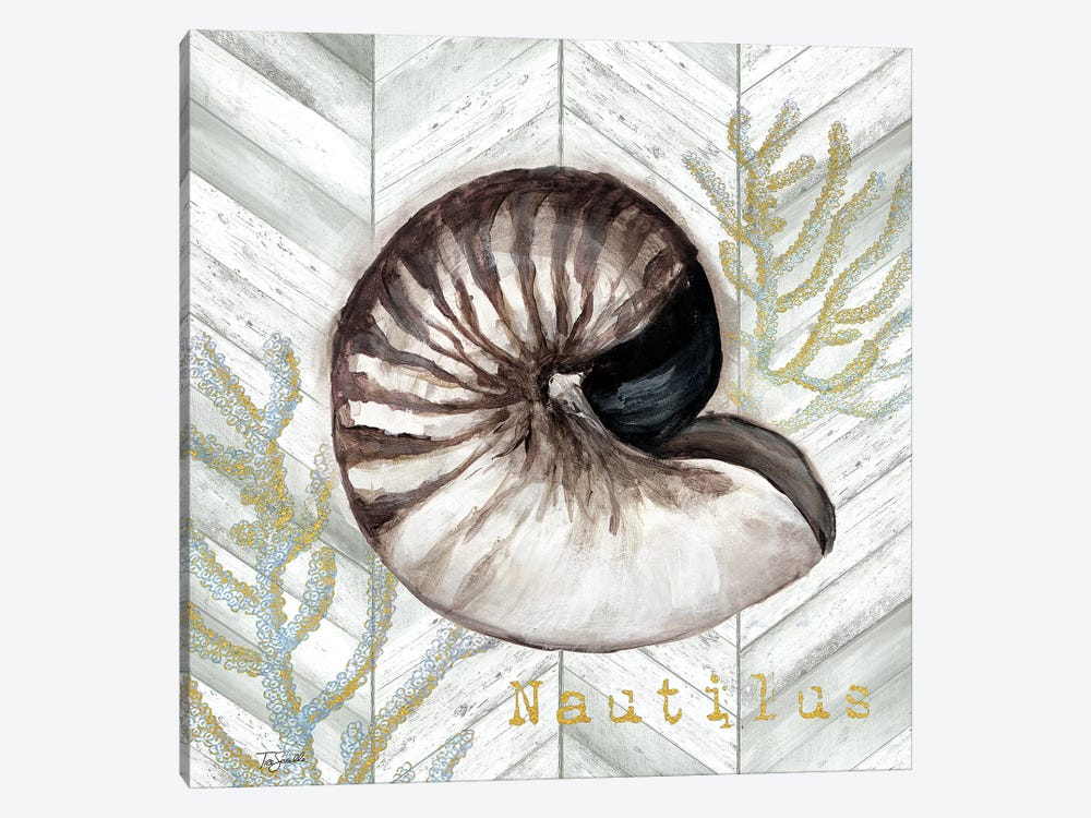 Gray Gold Chevron Nautilus Shell by Tre Sorelle Studios 1-piece Canvas Art