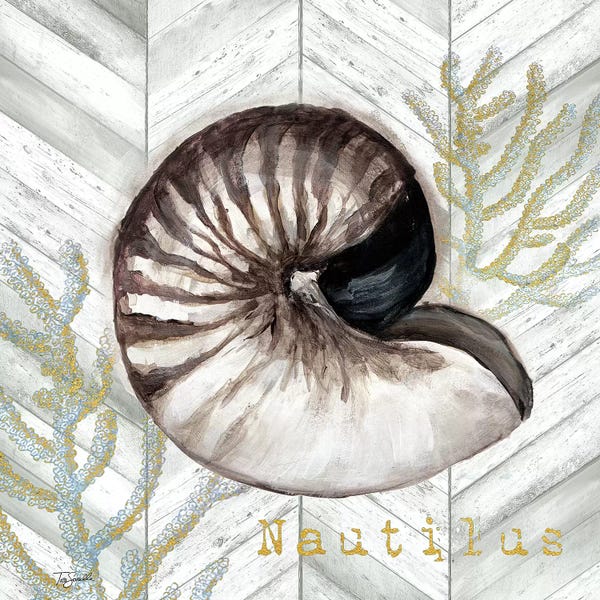 Nautiluses: Gray Gold Chevron Nautilus Shell by Tre Sorelle Studios