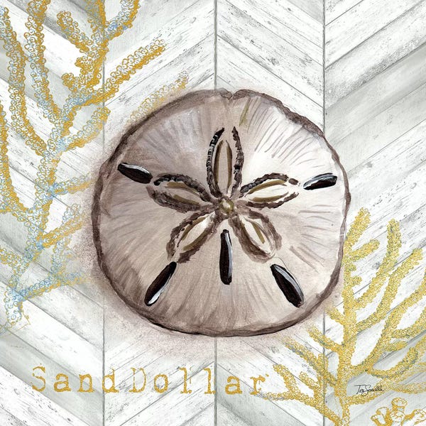 Tre Sorelle Studios: Gray Gold Chevron Sand Dollar by Tre Sorelle Studios