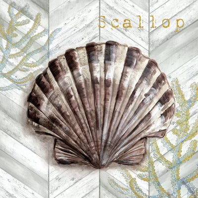 Gray Gold Chevron Scallop Shell by Tre Sorelle Studios framed wall art