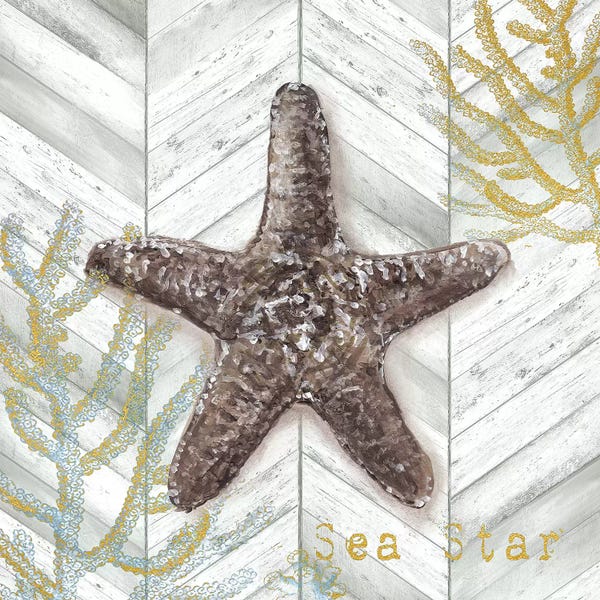 Starfish: Gray Gold Chevron Star Fish by Tre Sorelle Studios