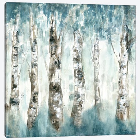 Winter Aspen Fog Canvas Print #TSS158} by Tre Sorelle Studios Canvas Print