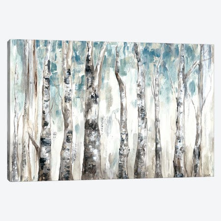 Winter Aspen Trunks Blue Canvas Print #TSS159} by Tre Sorelle Studios Canvas Print
