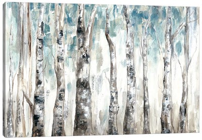 Winter Aspen Trunks Blue Canvas Art Print - Tre Sorelle Studios