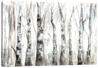 Winter Aspen Trunks Neutral Canvas Art Print - Transitional Décor