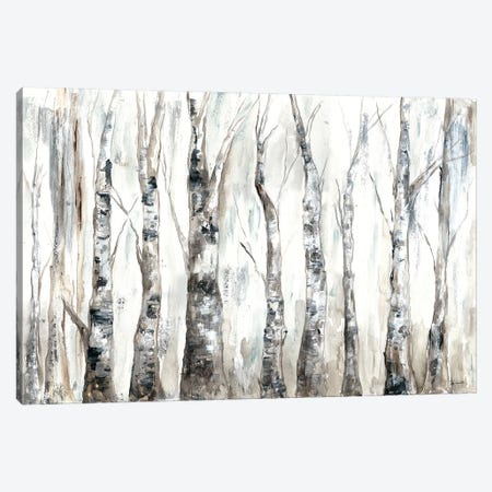 Winter Aspen Trunks Neutral Canvas Print #TSS160} by Tre Sorelle Studios Canvas Artwork