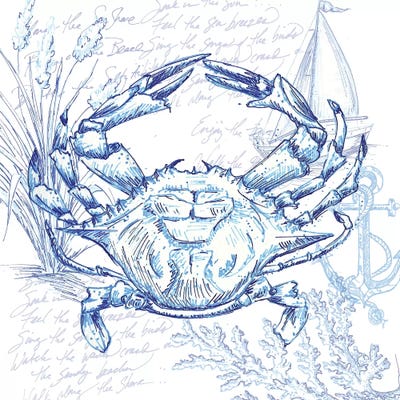 Coastal Sketchbook Crab by Tre Sorelle Studios framed wall art