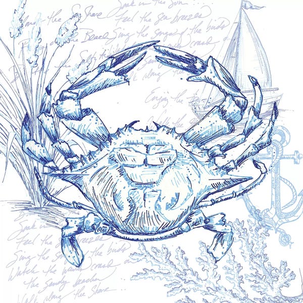 Crabs: Coastal Sketchbook Crab by Tre Sorelle Studios