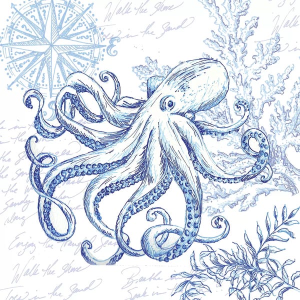 Octopi: Coastal Sketchbook Octopus by Tre Sorelle Studios