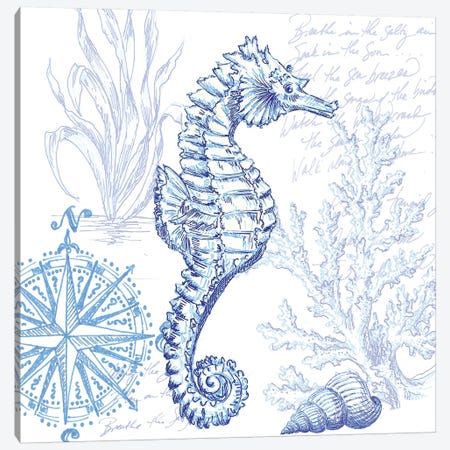 Coastal Sketchbook Sea Horse Canvas Print #TSS165} by Tre Sorelle Studios Canvas Print