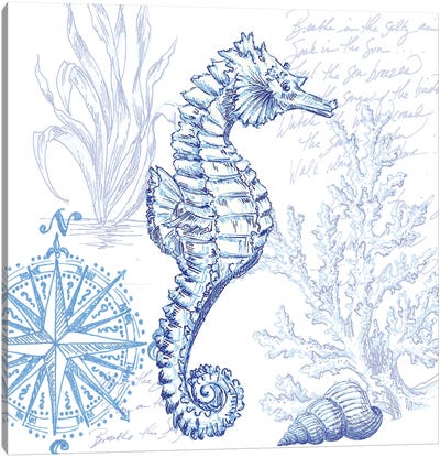 Coastal Sketchbook Sea Horse Canvas Art Print - Tre Sorelle Studios