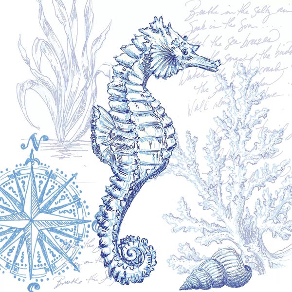 Seahorses: Coastal Sketchbook Sea Horse by Tre Sorelle Studios