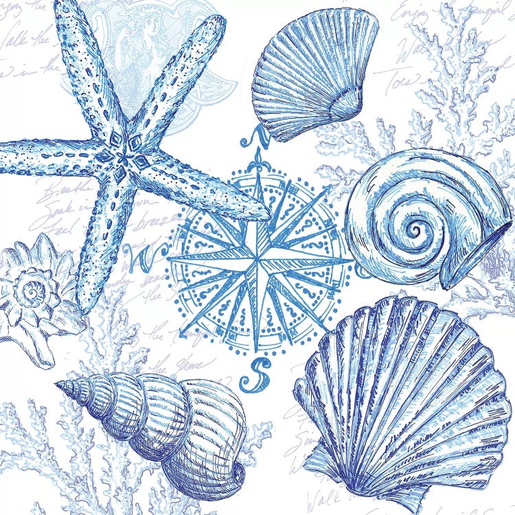 Coastal Sketchbook Shell Toss by Tre Sorelle Studios wall art