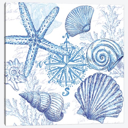 Coastal Sketchbook Shell Toss Canvas Print #TSS166} by Tre Sorelle Studios Art Print