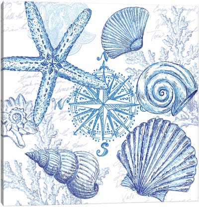 Coastal Sketchbook Shell Toss Canvas Art Print - Starfish Art