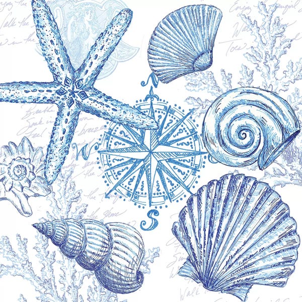 Coastal Sketchbook Shell Toss