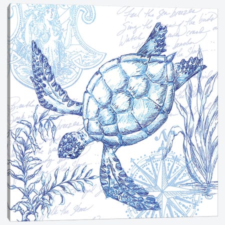 Coastal Sketchbook Turtle Canvas Print #TSS167} by Tre Sorelle Studios Canvas Print