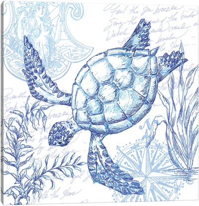 Coastal Sketchbook Turtle Canvas Art Print - Turtle Art
