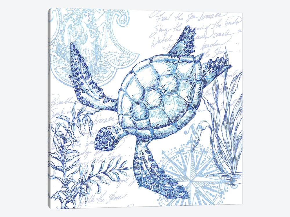 Coastal Sketchbook Turtle by Tre Sorelle Studios 1-piece Canvas Print