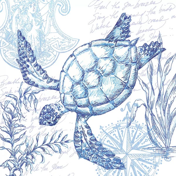 Turtles: Coastal Sketchbook Turtle by Tre Sorelle Studios