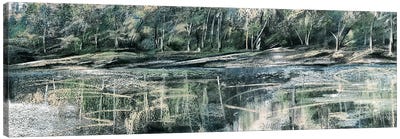 Pastel Landscape Study Canvas Art Print - Tre Sorelle Studios